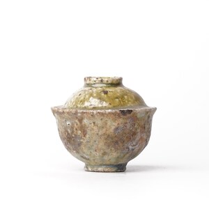 May include: A small, handcrafted ceramic bowl with a lid. The bowl has a rounded shape with a slightly flared rim and a lid that fits snugly on top. The exterior features a mottled, earthy color palette of brown, tan, and green.