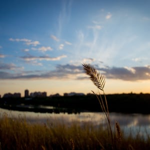 Saskatchewan Sunset 2