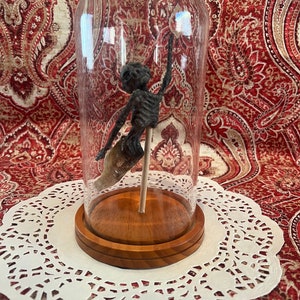 Bell Jar Mermaid Specimen