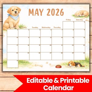 Peut inclure: Calendrier imprimable de mai 2026 avec des illustrations de chiots. Il présente un golden retriever, un chiot endormi et un beagle. Le texte "Editable & Printable Calendar" est en bas.