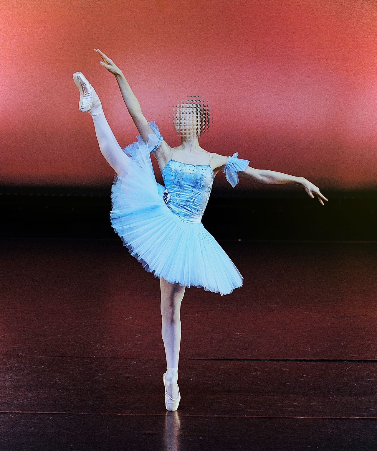 Ballet professionnel Tutu Danse classique WBC Odalisque Variation