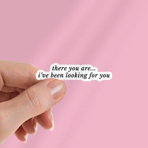 Puede incluir: Una pegatina blanca con el texto "there you are... i've been looking for you" en negro. La pegatina se muestra sobre un fondo rosa.