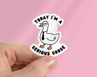 Today I'm A Serious Goose Kindle Sticker: Silly Goose Vinyl Decal - Stocking Stuffer For Reader