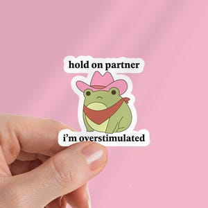 May include: A sticker with a cartoon frog wearing a pink cowboy hat and a red bandana. The text on the sticker reads "hold on partner" and "i'm overstimulated". The frog is green and white.