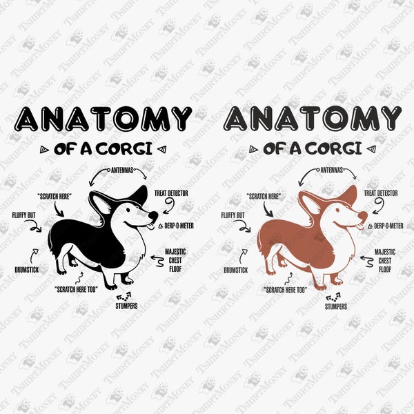 Anatomy of a Corgi Svg, Welsh Corgi Svg, Funny Dog Lover Svg, Corgi Mom Svg, Corgi Dad Svg, Cricut Silhouette SVG Cut File, T-Shirt Design