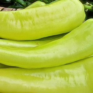 Sweet Banana Pepper Seeds - Non-GMO - Heirloom - Wonderful Eating Fresh, Making Jams, Or Pickling/Canning.