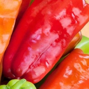 Cubanelle Sweet Pepper Seeds - Non-GMO - Heirloom