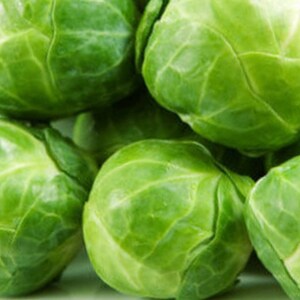 Long Island Improved Brussel Sprout Seeds - Heirloom Variety - Non-GMO - Love Cold Weather!