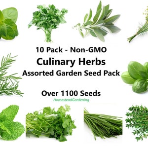 10 Pack Culinary Herbs Assorted Seed Pack -Non-GMO-1100+ Seeds- Chives, Cilantro, Thyme, Parsley, Basil, Oregano, Sage, Mint, Rosemary, Dill