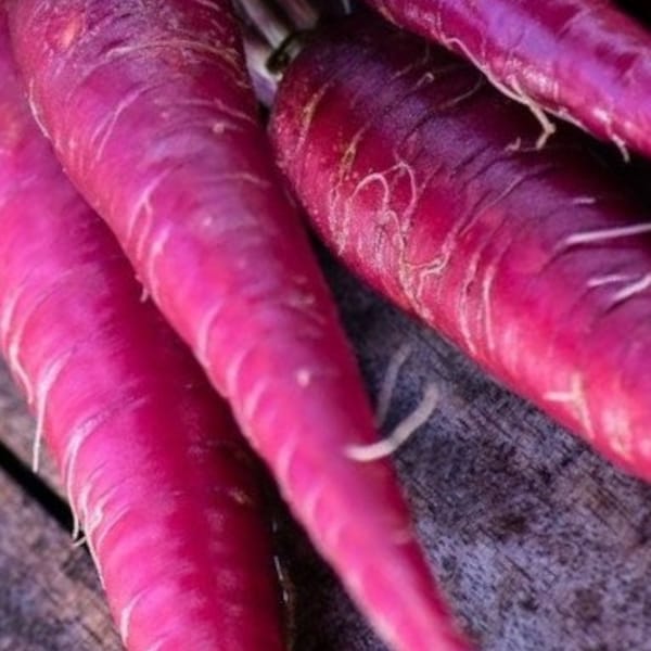 Cosmic Purple Carrot Seeds - Non-GMO - Heirloom - A Culinary Delight! Great Flavor! Kids Love These Carrots!