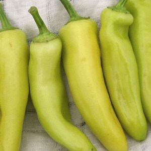 Hungarian Yellow Hot Wax Pepper Seeds - Non-GMO - Heirloom - Great For Roasting, Stuffing, Or Pickling.