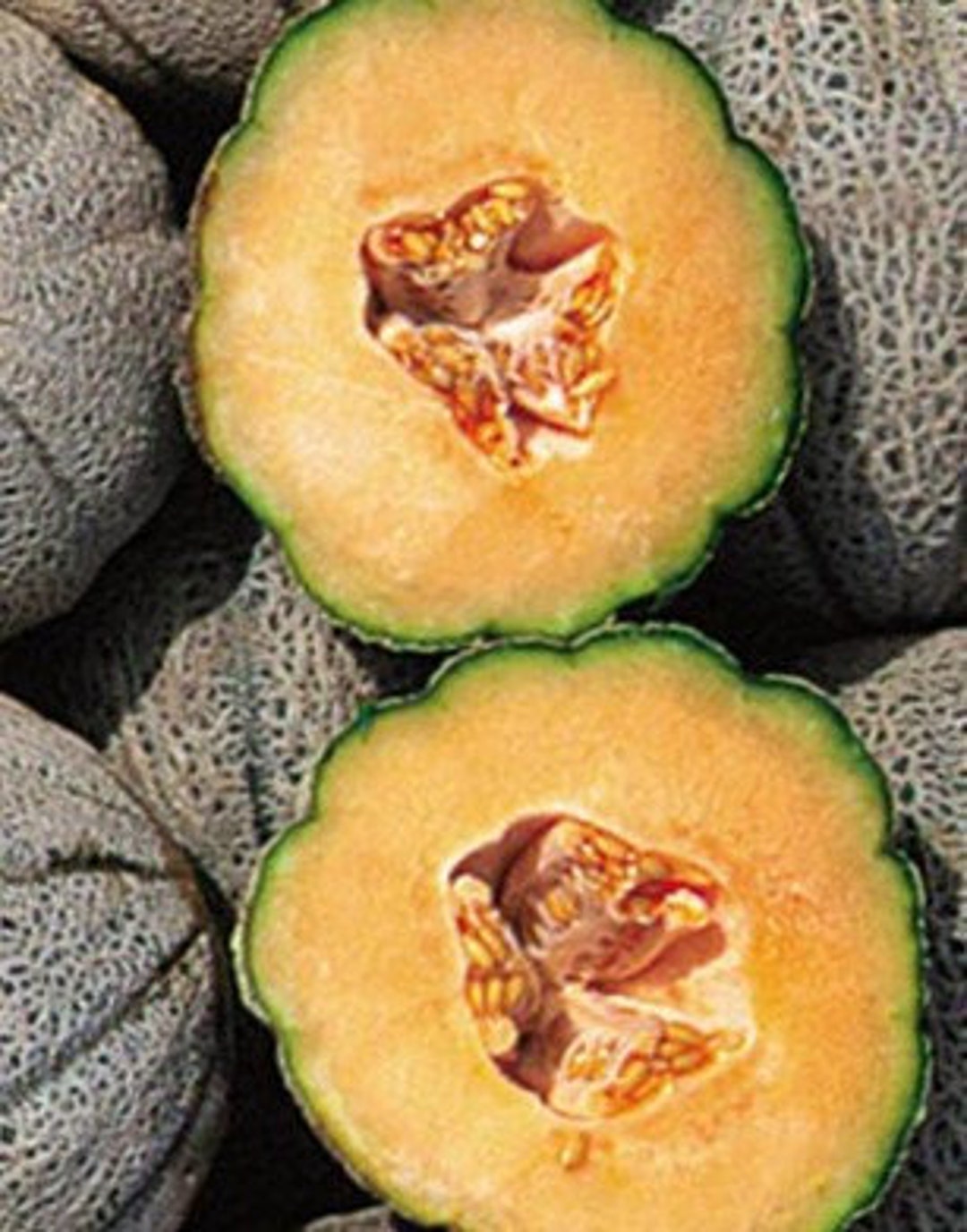 Hearts of Gold Cantaloupe Melon Seeds Nongmo Heirloom Variety Very
