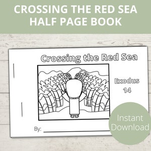 Crossing the Red Sea, Moses and the Parting of the Red Sea, Sunday School Crafts, Moses Staff, Preschool Bible Activities, Mini Booklet