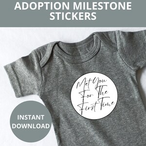 Cartes d'étape importante, Autocollants d'étape, Cartes d'étape imprimables, Autocollant d'adoption, Processus d'adoption, Gotcha Day, Livre d'adoption pour bébé