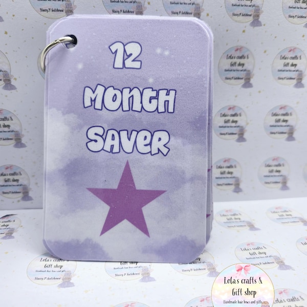 Mini 12 Month Savings Challenge: Laminated Budget Tracker