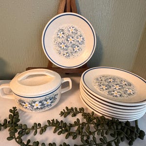 May include: A collection of cream-colored ceramic dishware with a blue floral pattern. The set includes plates, a bowl with handles, and a lid. The plates have a blue border. A sprig of green foliage is in the foreground.
