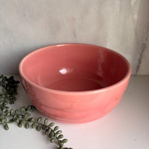 Puede incluir: Un cuenco redondo de cerámica rosa brillante. El cuenco tiene una superficie lisa y un diseño sencillo. El cuenco está vacío y se encuentra sobre una superficie blanca, con una ramita de planta verde falsa en primer plano.
