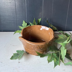 May include: A brown ceramic bowl with a leaf design. The bowl is sitting on a white surface with green leaves around it.