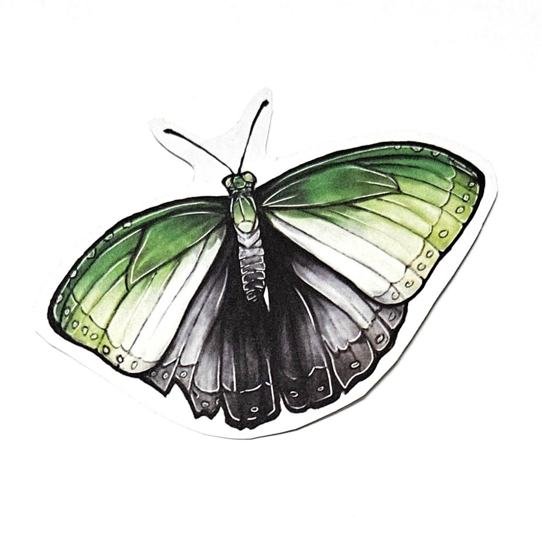 ♡aromantic♡ AROMANTIC SPECTRUM TikToks - YouTube