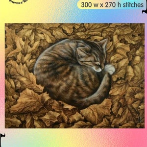 Tabby Katze Träumende Katze Wildkatzen - Zählvorlage Zählmuster Basteln PDF