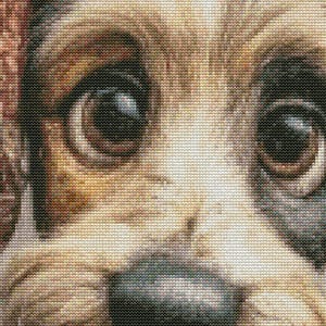 May include: Close-up of a cross-stitch portrait of a dog's face. The dog has large, expressive brown eyes, a black nose, and a mix of tan, brown, and white fur. The stitching creates a detailed, textured effect.