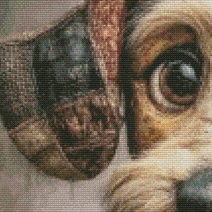 May include: Close-up of a dog's face, showcasing detailed cross-stitch embroidery. The dog's eye is a deep brown, with tan and brown fur. The ear is a mix of brown and black, with a textured appearance. The background is a light beige.