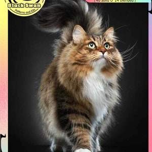 Schmetterling & Katze Wildes Tier - Kreuzstich Anleitung PDF