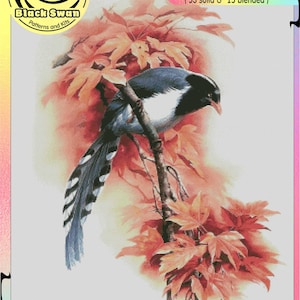 Magpie arenque gaivota astral coruja barrada coruja empoleirada árvore genealógica colorida coruja-gráfico contado ponto cruz padrão artesanato pdf