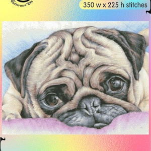 May include: Cross stitch pattern of a pug dog with brown eyes, laying on a pink pillow. The pattern uses 50 DMC colors, 36 solid and 14 blended, and measures 350 stitches wide by 225 stitches high. The pattern is available in 14, 16, and 18 count.