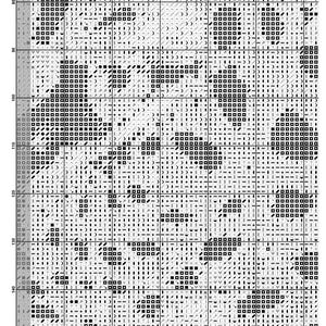 Unleash Your Wild Side - Counted Cross Stitch Pattern PDF - Etsy