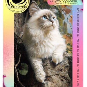 Ragdoll Katze - Kreuzstich Anleitung PDF