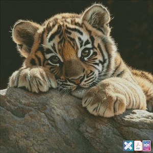 May include: A detailed image of a tiger cub, featuring orange and black stripes, resting on a rock. The cub's face is light brown, with large eyes. The dark background highlights the cub's features, creating a striking contrast.
