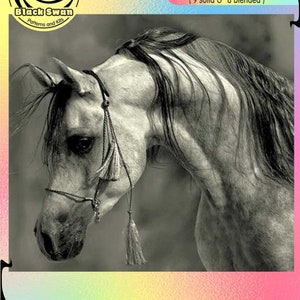 Arabisches Pferd Laufende Pferde Elegance of form Pferd - Zählvorlage Zählmuster PDF