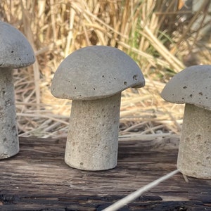 Wooden Turned Mushroom Made From Yew 15 Ornamental Fungi Sculpture, Ideal  Present for That Special Person 