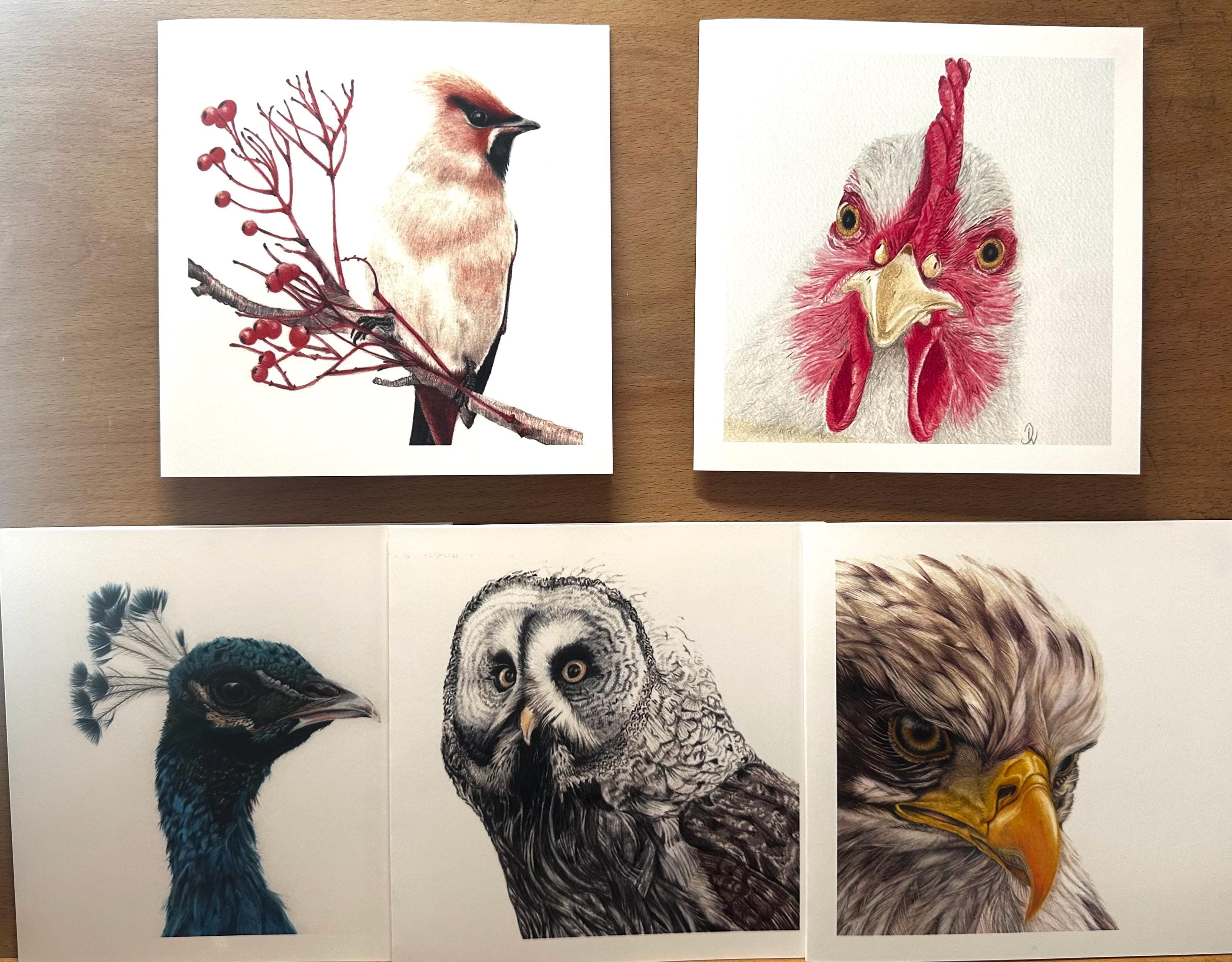 Mixed Bird Bald Eagle Peacock Owl Art Cards: Blank Square Greeting Cards with Envelopes