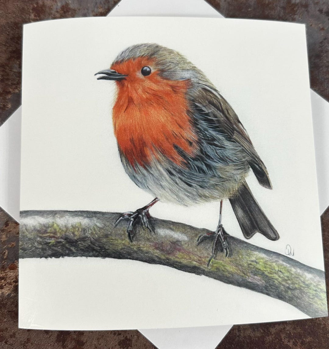 Robin Art Card: Wildlife Bird Greeting Card for All Occasions - Etsy
