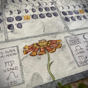 Puede incluir: Pintura a la acuarela de un calendario con las fases lunares de noviembre y diciembre. Una ilustraci&oacute;n detallada de una flor con p&eacute;talos rojos y amarillos y un tallo verde est&aacute; en primer plano. Tambi&eacute;n son visibles s&iacute;mbolos del zodiaco y texto.