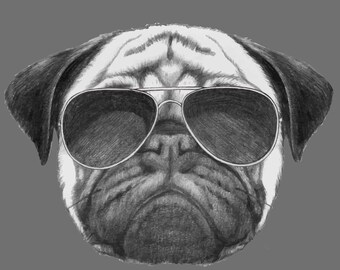 Sticker - Serious pug wearing aviators - Water proof laptop, water bottle, phone sticker
