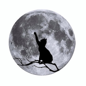 Sticker - Moon cat, car, laptop, mug