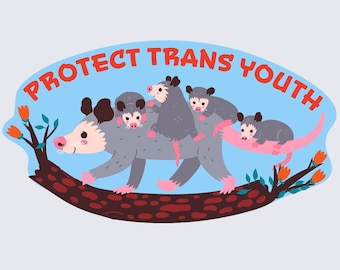 Sticker - Protect Trans Youth - car, laptop, phone, tumbler sticker