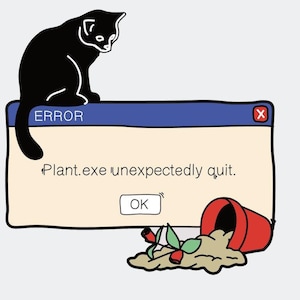 May include: A black cat sits on a blue and white error message window that reads "Plant.exe unexpectedly quit." The window has an "OK" button and a red "X" button. A red flower pot is tipped over on the ground with dirt and a small plant.