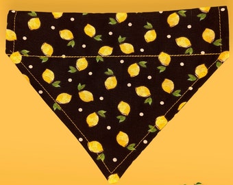 Lemon Dog Bandana, Over the Collar