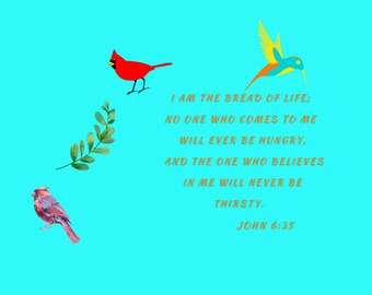 Journal, Artistic,  Christian, Bible Verse, Scripture,  Birds, Butterflies, John 6:36