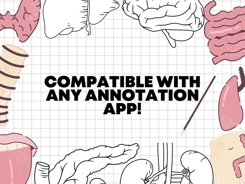 Anatomy Sticker Pack Book Goodnotes Etsy