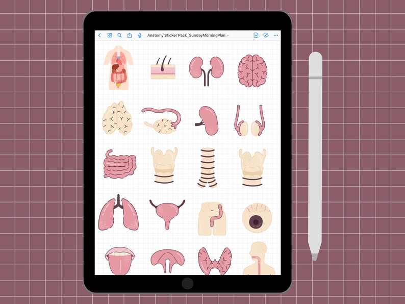 Anatomy Sticker Pack Book Goodnotes Etsy
