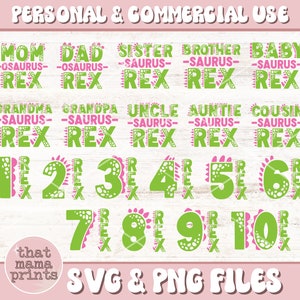 Dinosaur Girl Cumpleaños SVG & PNG Bundle, Mama Saurus Svg, Familia a juego Svg, Chica T-Rex Svg, Dinosaurio Svg, Familia Saurus, Sublimación Png