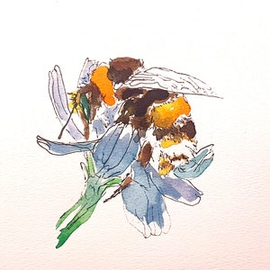 Hummel Bild - Aquarell Biene Originalgemälde. Signiertes Bild. Einmaliges Kunstwerk. Tolles Geschenk für Tierfan!