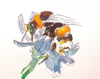 Bumblebee picture- Watercolour bee original painting. Signed picture. One of a kind artwork. Great gift for animal fan!