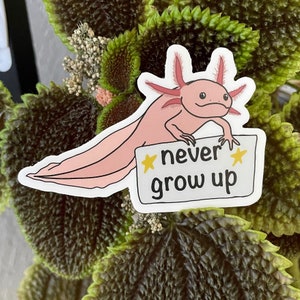 Forever Young Axolotl Salamander Waterproof Vinyl Sticker or Magnet