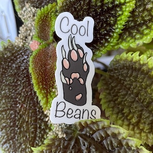 May include: White sticker with a black paw print and the words "Cool Beans" in black text.